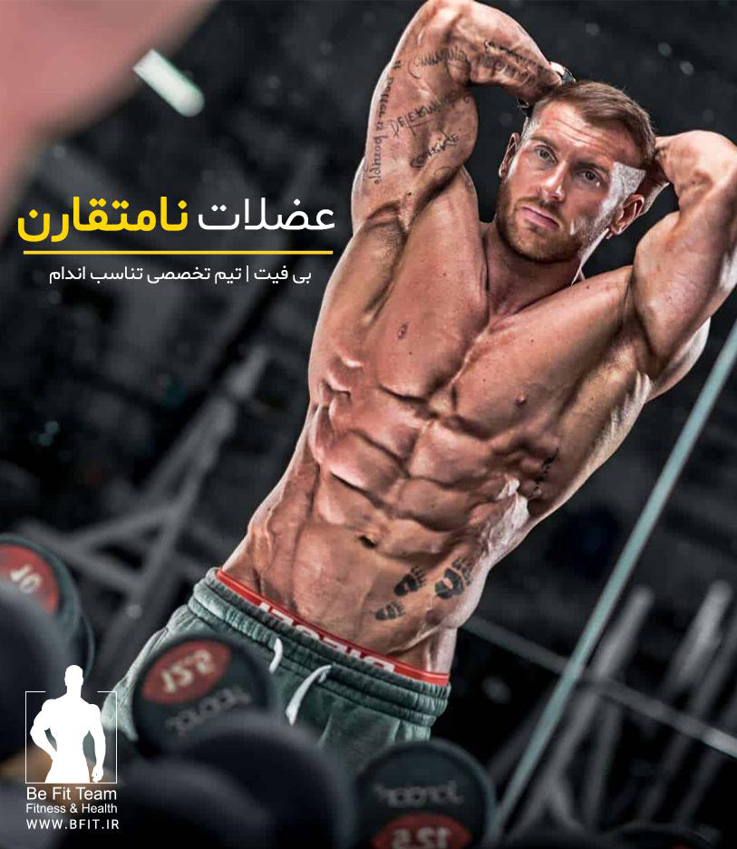 عضلات نامتقارن