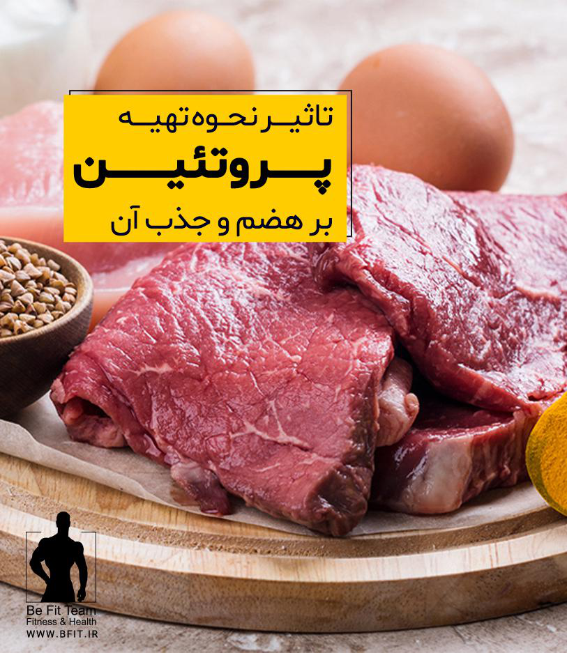 چگونه نحوه ی تهیه پروتئین بر هضم و جذب آن تاثیر میگذارد؟