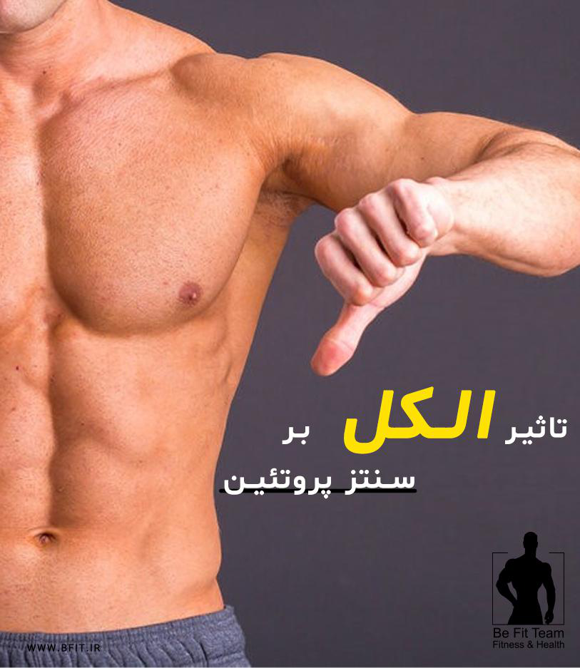 تاثیر الکل بر سنتز پروتئین